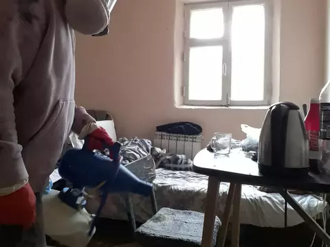 Уничтожение клопов в общежитии